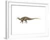 Tenontosaurus Dinosaur-null-Framed Art Print