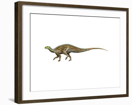 Tenontosaurus Dinosaur-null-Framed Art Print