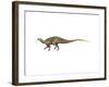 Tenontosaurus Dinosaur-null-Framed Art Print