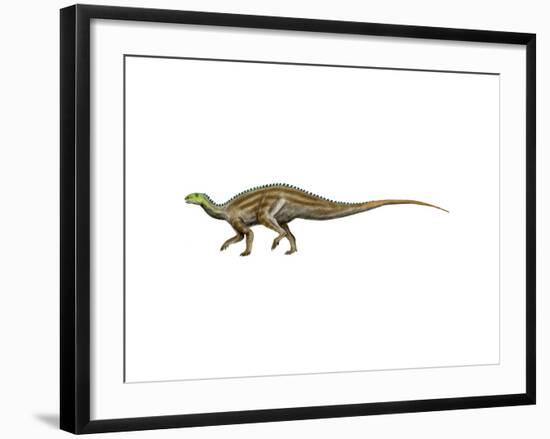 Tenontosaurus Dinosaur-null-Framed Art Print