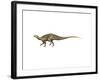 Tenontosaurus Dinosaur-null-Framed Art Print