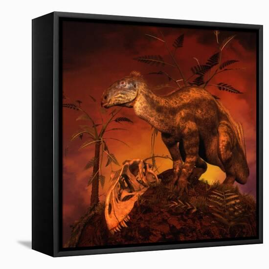 Tenontosaurus Was an Ornithopod Dinosaur from the Middle Cretaceous Period-null-Framed Stretched Canvas