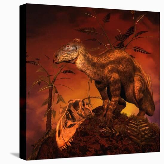 Tenontosaurus Was an Ornithopod Dinosaur from the Middle Cretaceous Period-null-Stretched Canvas