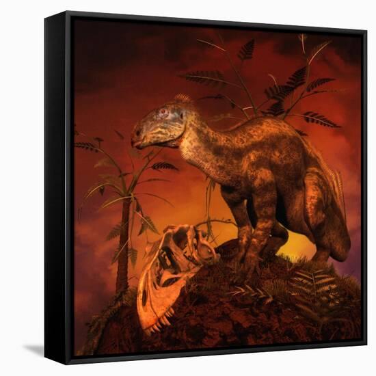 Tenontosaurus Was an Ornithopod Dinosaur from the Middle Cretaceous Period-null-Framed Stretched Canvas