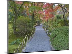 Tenryuji Temple Garden, Sagano, Arashiyama, Kyoto, Japan-Rob Tilley-Mounted Premium Photographic Print