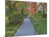 Tenryuji Temple Garden, Sagano, Arashiyama, Kyoto, Japan-Rob Tilley-Mounted Photographic Print