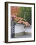 Tenryuji Temple Garden, Sagano, Arashiyama, Kyoto, Japan-Rob Tilley-Framed Photographic Print