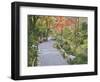 Tenryuji Temple Garden, Sagano, Arashiyama, Kyoto, Japan-Rob Tilley-Framed Photographic Print