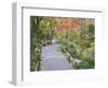 Tenryuji Temple Garden, Sagano, Arashiyama, Kyoto, Japan-Rob Tilley-Framed Photographic Print