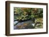 Tenryuji Temple Zen Garden with Koi Carps, Kyoto, Japan-smithore-Framed Photographic Print