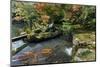 Tenryuji Temple Zen Garden with Koi Carps, Kyoto, Japan-smithore-Mounted Photographic Print