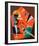 Tension in Red-Wassily Kandinsky-Framed Art Print