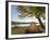 Tent at Judith River Campsite on the Upper Missouri River Breaks National Monument, Montana, Usa-Chuck Haney-Framed Photographic Print