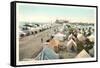 Tent City, Coronado, San Diego, California-null-Framed Stretched Canvas