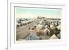 Tent City, Coronado, San Diego, California-null-Framed Art Print