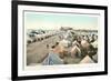 Tent City, Coronado, San Diego, California-null-Framed Art Print