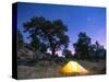 Tent Illuminated Under the Night Sky, Rocky Mountain National Park, Colorado, USA-Christian Kober-Stretched Canvas