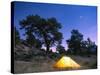 Tent Illuminated Under the Night Sky, Rocky Mountain National Park, Colorado, USA-Christian Kober-Stretched Canvas