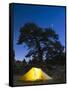 Tent Illuminated Under the Night Sky, Rocky Mountain National Park, Colorado, USA-Christian Kober-Framed Stretched Canvas