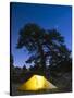 Tent Illuminated Under the Night Sky, Rocky Mountain National Park, Colorado, USA-Christian Kober-Stretched Canvas