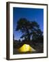 Tent Illuminated Under the Night Sky, Rocky Mountain National Park, Colorado, USA-Christian Kober-Framed Photographic Print