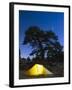 Tent Illuminated Under the Night Sky, Rocky Mountain National Park, Colorado, USA-Christian Kober-Framed Photographic Print