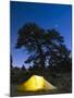 Tent Illuminated Under the Night Sky, Rocky Mountain National Park, Colorado, USA-Christian Kober-Mounted Photographic Print