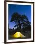 Tent Illuminated Under the Night Sky, Rocky Mountain National Park, Colorado, USA-Christian Kober-Framed Photographic Print