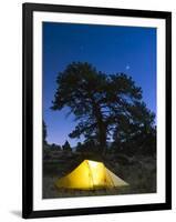 Tent Illuminated Under the Night Sky, Rocky Mountain National Park, Colorado, USA-Christian Kober-Framed Photographic Print