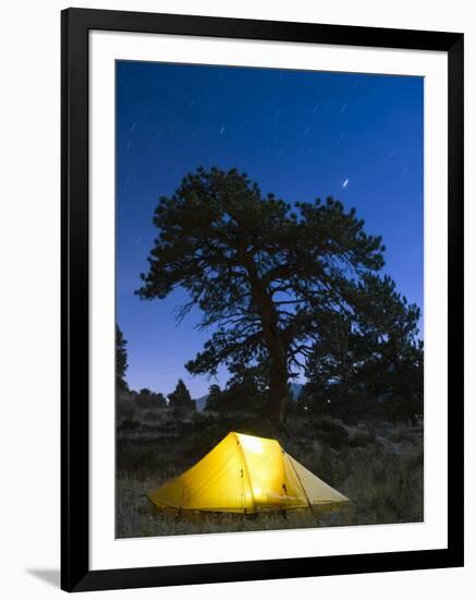 Tent Illuminated Under the Night Sky, Rocky Mountain National Park, Colorado, USA-Christian Kober-Framed Photographic Print