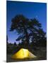 Tent Illuminated Under the Night Sky, Rocky Mountain National Park, Colorado, USA-Christian Kober-Mounted Photographic Print