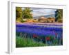 Tent in Lavender Field-Terry Eggers-Framed Photographic Print