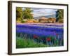 Tent in Lavender Field-Terry Eggers-Framed Photographic Print