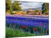 Tent in Lavender Field-Terry Eggers-Mounted Photographic Print