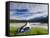 Tent, Kootenay National Park, British Columbia, Canada-Peter Adams-Framed Stretched Canvas
