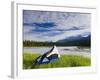 Tent, Kootenay National Park, British Columbia, Canada-Peter Adams-Framed Photographic Print