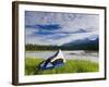 Tent, Kootenay National Park, British Columbia, Canada-Peter Adams-Framed Photographic Print