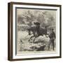 Tent-Pegging at Hurlingham-Charles Robinson-Framed Giclee Print