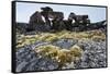 Tent Rings, Nunavut, Canada-Paul Souders-Framed Stretched Canvas