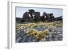 Tent Rings, Nunavut, Canada-Paul Souders-Framed Photographic Print