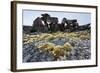 Tent Rings, Nunavut, Canada-Paul Souders-Framed Photographic Print