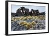 Tent Rings, Nunavut, Canada-Paul Souders-Framed Photographic Print