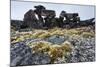 Tent Rings, Nunavut, Canada-Paul Souders-Mounted Photographic Print