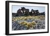 Tent Rings, Nunavut, Canada-Paul Souders-Framed Photographic Print