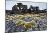 Tent Rings, Nunavut, Canada-Paul Souders-Mounted Photographic Print