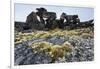 Tent Rings, Nunavut, Canada-Paul Souders-Framed Photographic Print