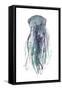 Tentacles III-Grace Popp-Framed Stretched Canvas