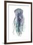 Tentacles III-Grace Popp-Framed Art Print