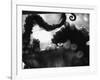 Tentacles of Octopus-Henry Horenstein-Framed Photographic Print