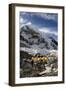 Tents of Mountaineers Scattered Along Khumbu Glacier, Base Camp, Mt Everest, Nepal-David Noyes-Framed Photographic Print